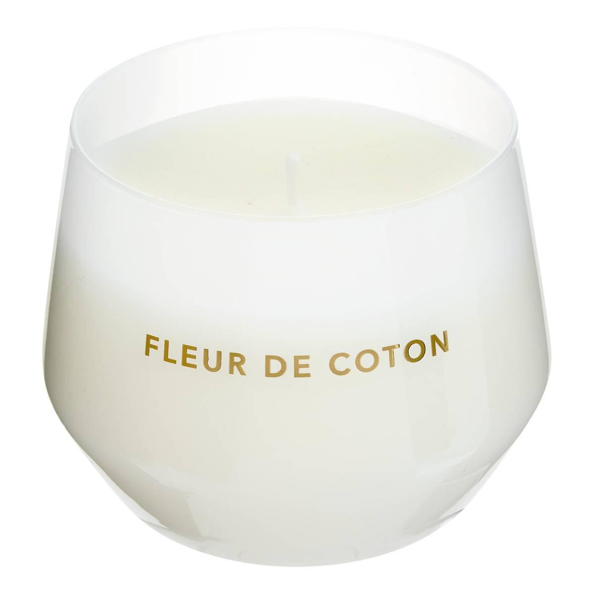 3560231148201_1_1771056901.jpg