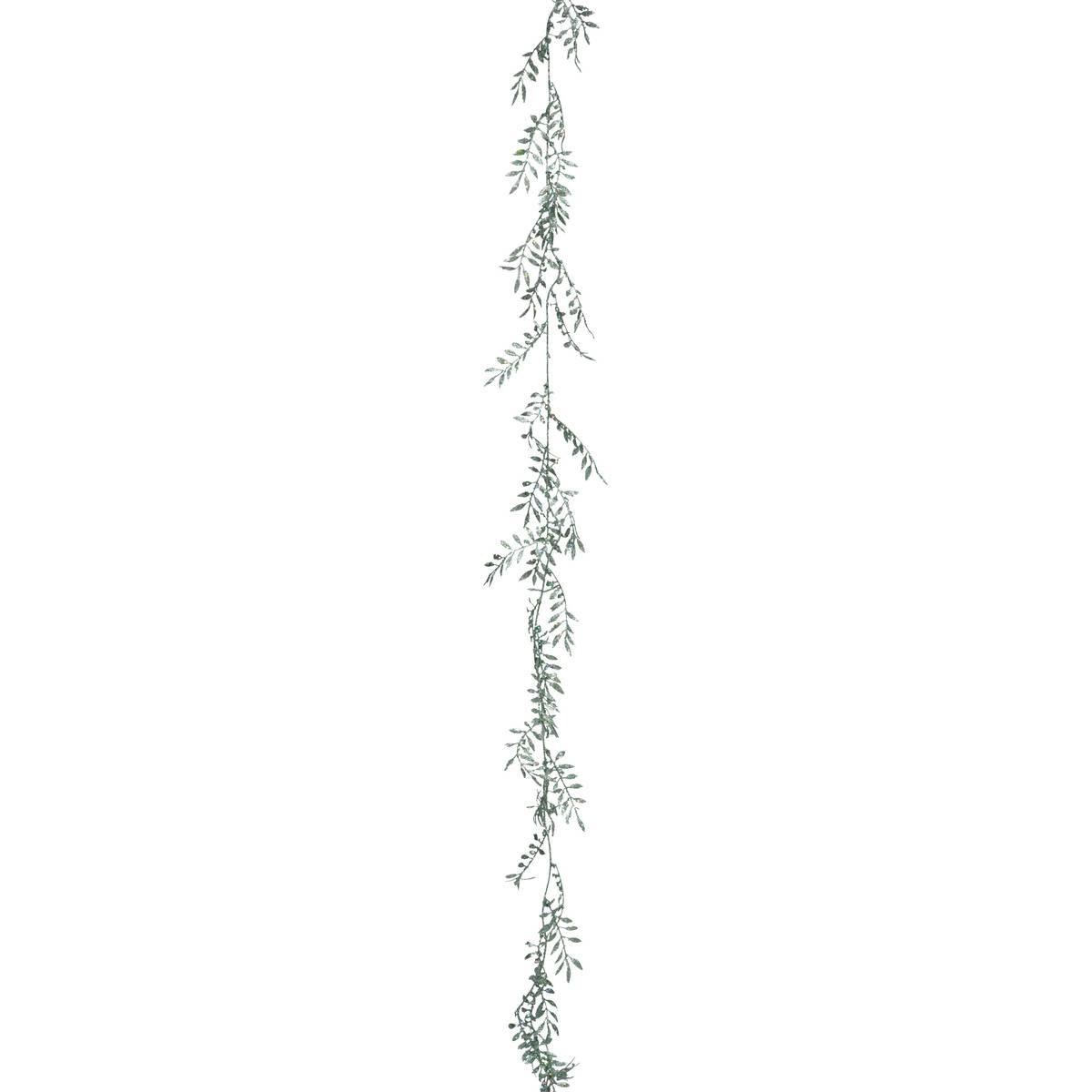 3560232803987_1_1773826201.jpg