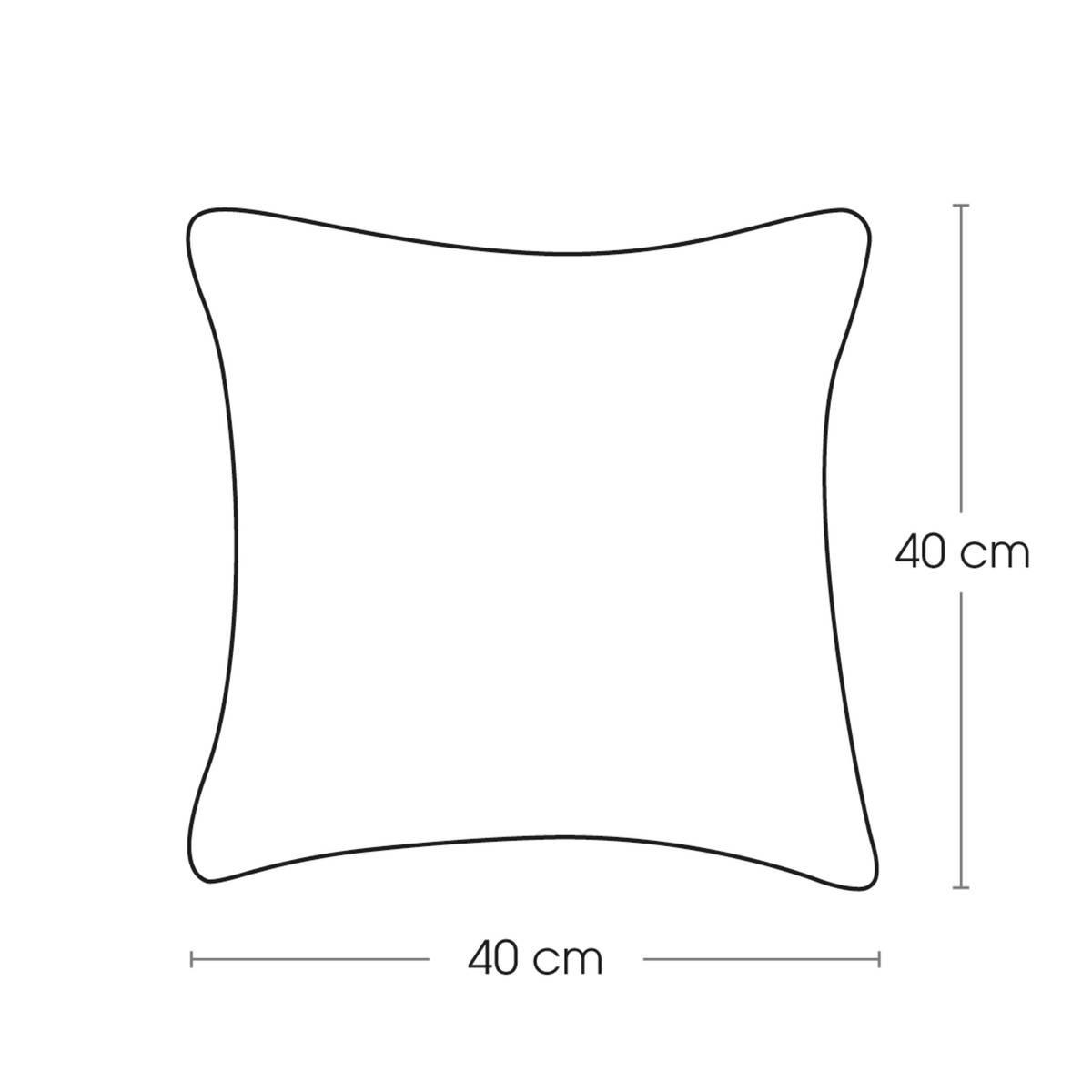 3560232955716_4_1782976501.jpg