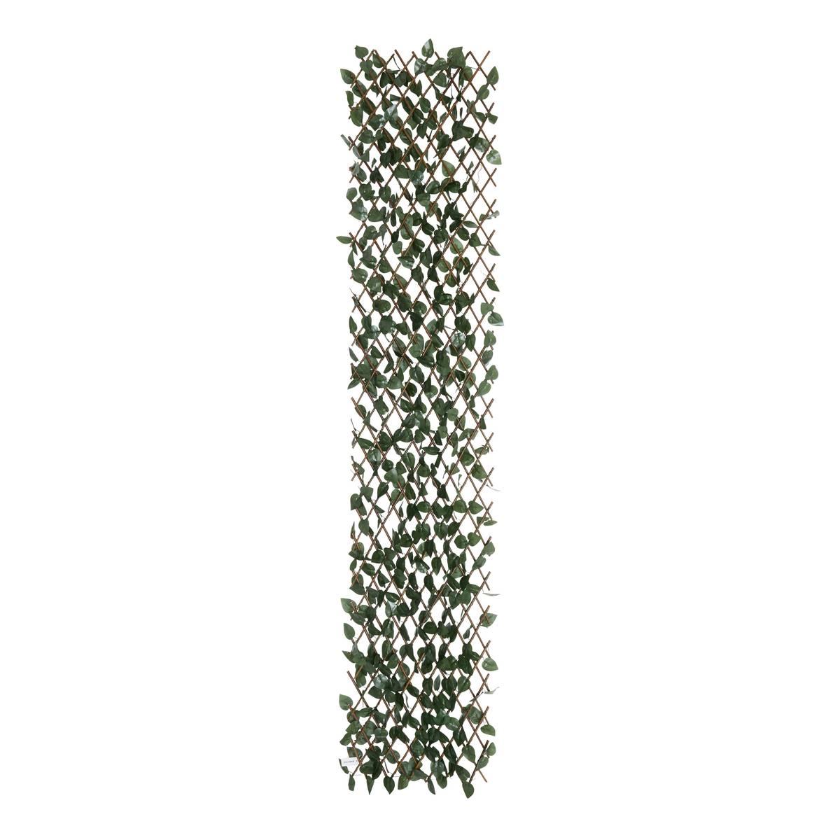 3560233519399_4_1772006401.jpg