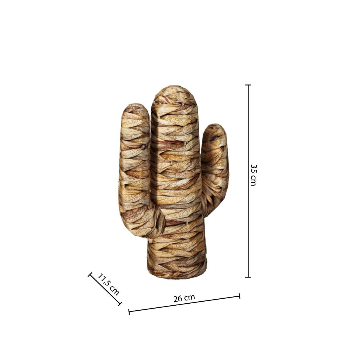 3560237551753_4_1777712401.jpg