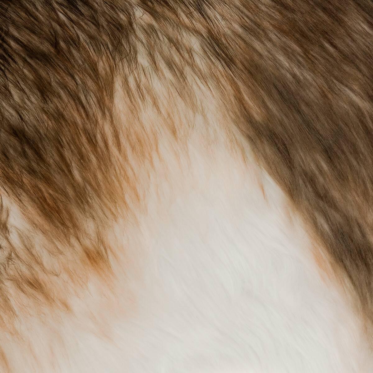 3560239291381_3_1757579041.jpg