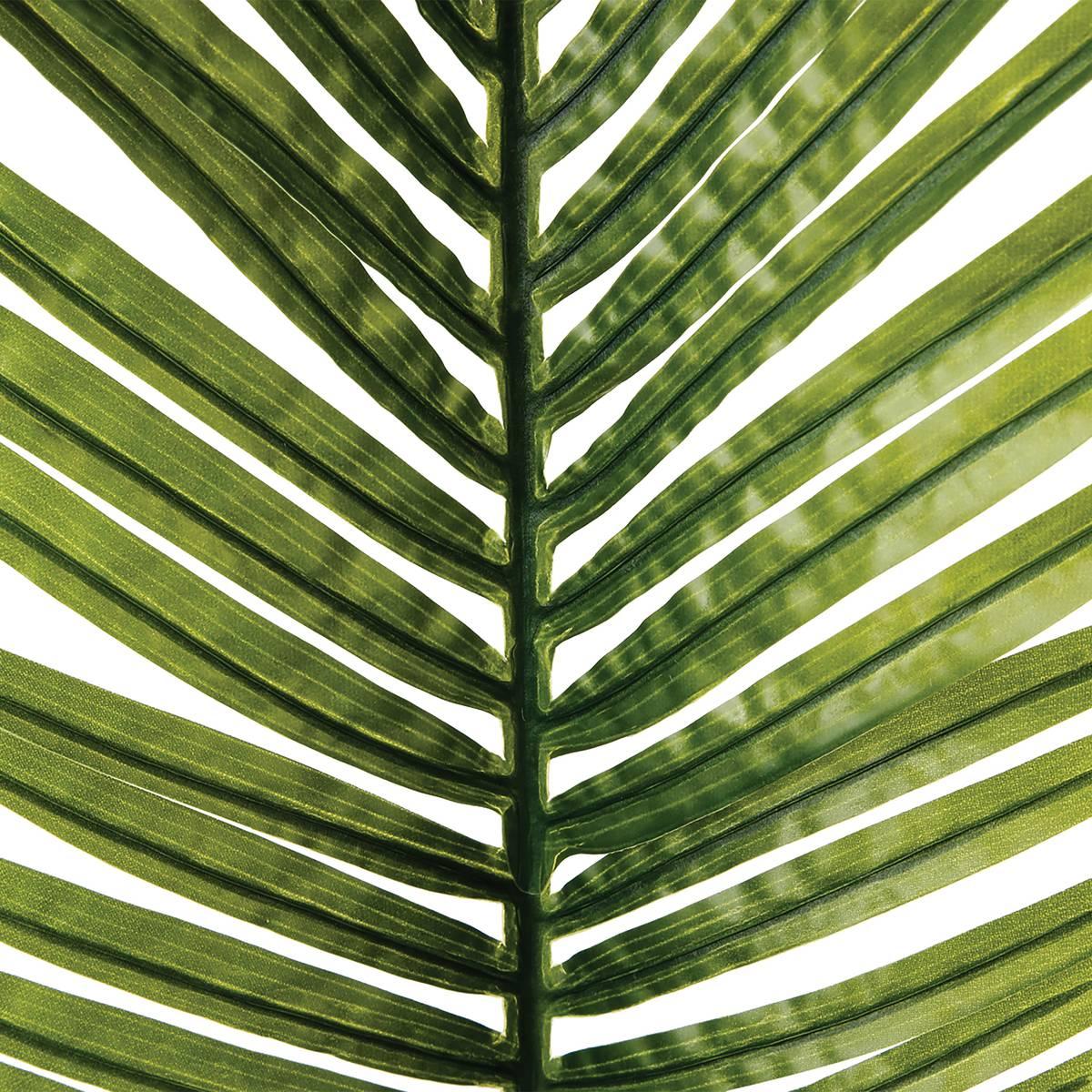 3560239385738_2_1757581201.jpg