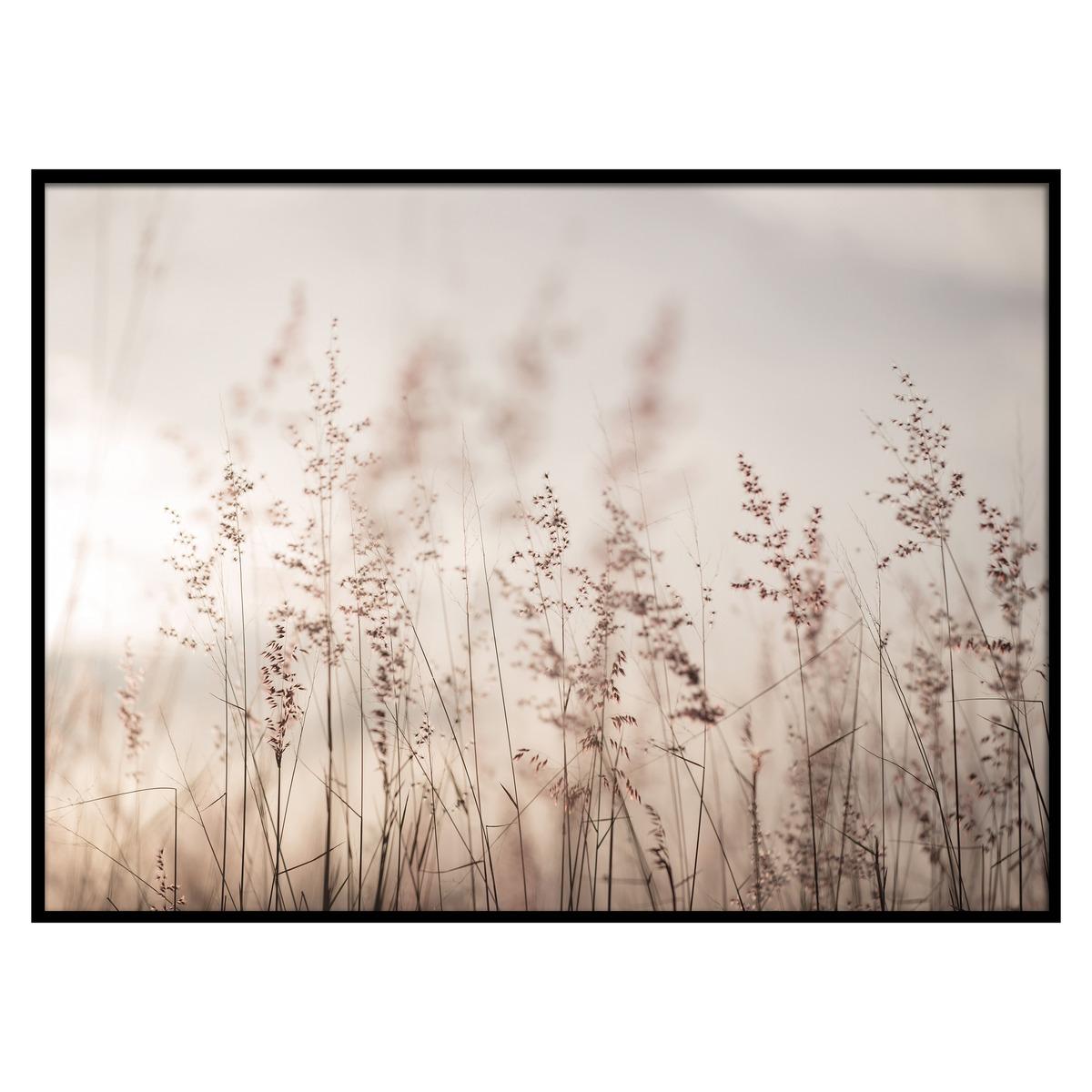 Printed canvas with frame 50x70cm