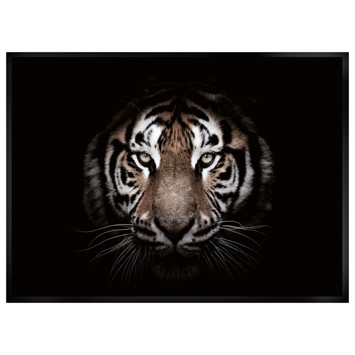 Printed canvas with frame 50x70cm