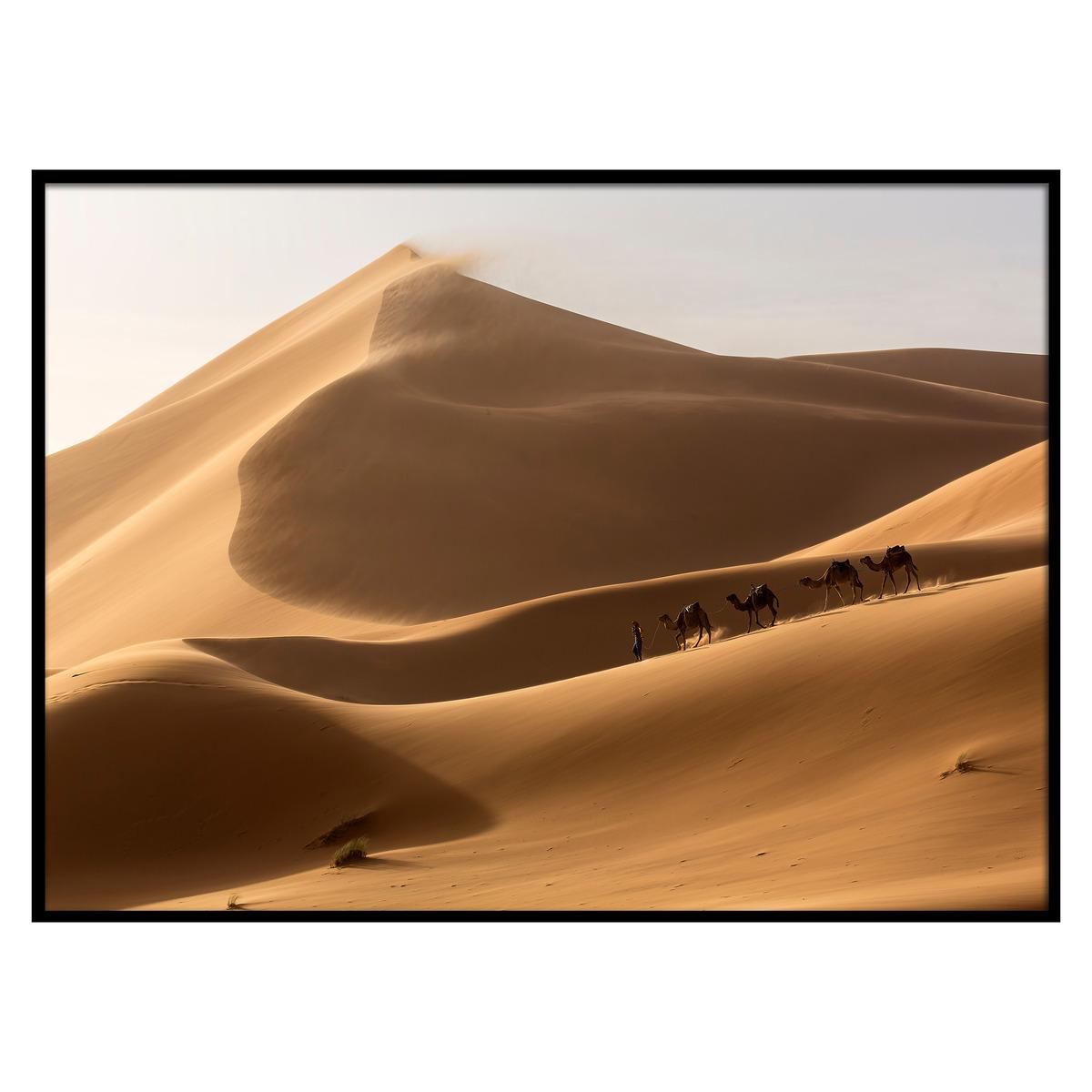 Printed canvas with frame 50x70cm