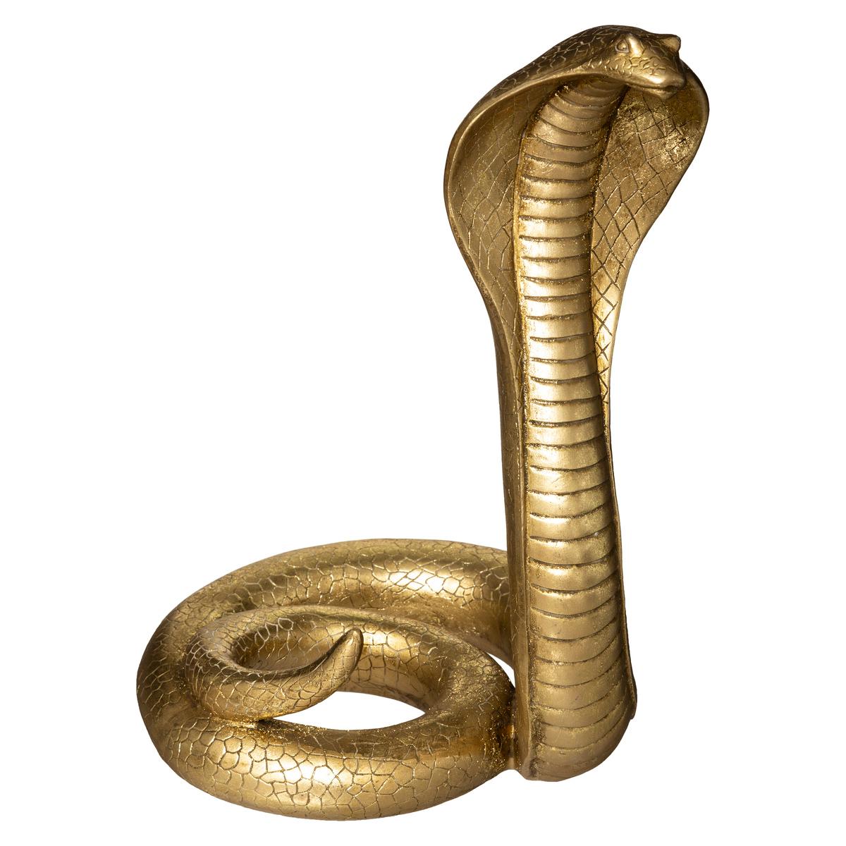 SATURN RISIN9 @ gold diggers — The Cobrasnake