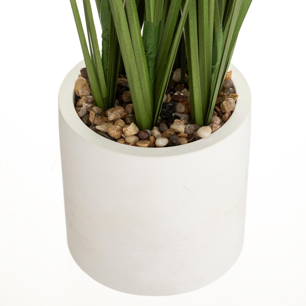 Plante Plumeau Pot CIM H 70 - Beige - Déco, mobilier pour les  professionnels - Decoration Brands