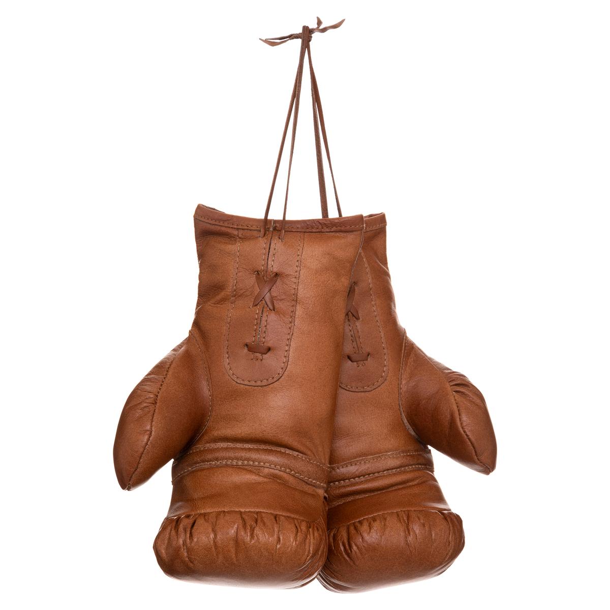 Gants de boxe Loft cuir marron