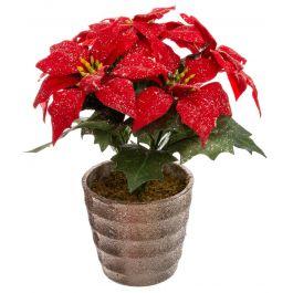 Branche décorative de poinsettia double en plastique assorti par