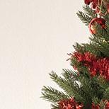Decoration Brands