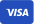 visa card
